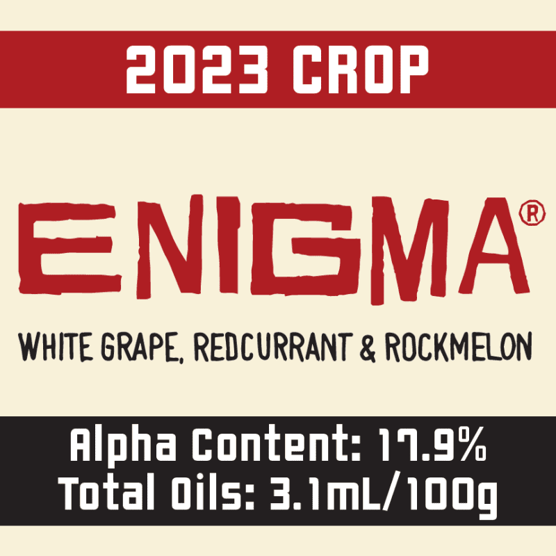 2023 Enigma Logo