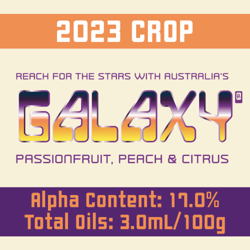 2023 Galaxy Logo