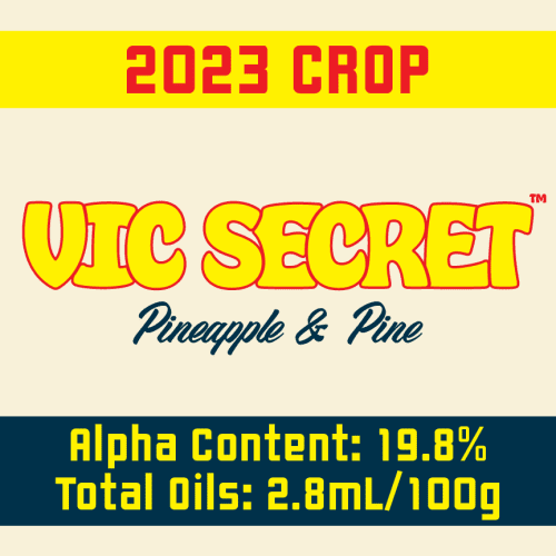 2023 Vic Secret Logo