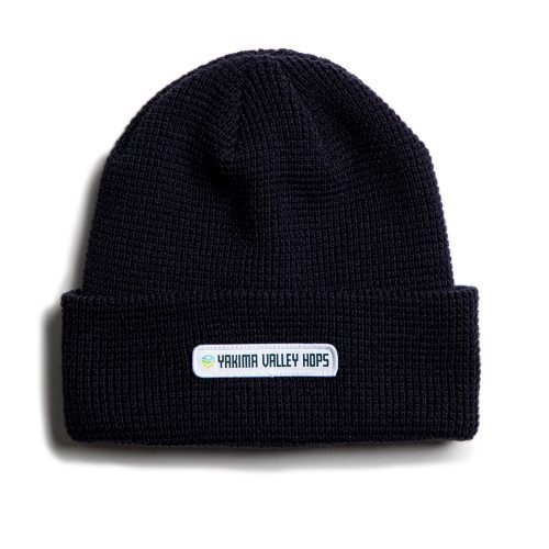 BlueBeanies03