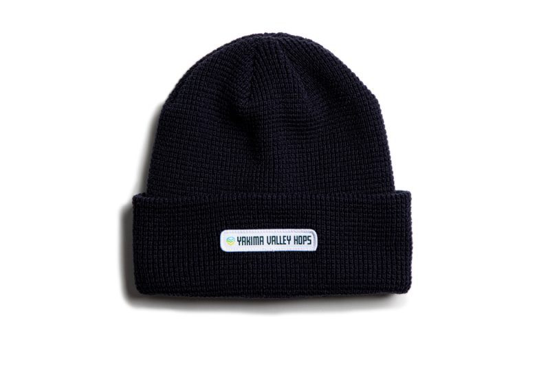 BlueBeanies03