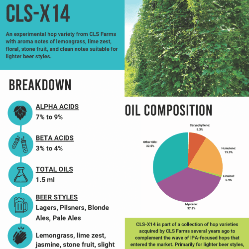 CLS X 14InfoSheets Final Page 1