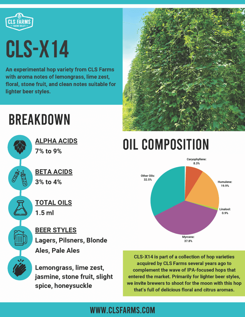 CLS X 14InfoSheets Final Page 1