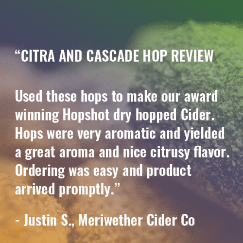 Citra Craft Brewer Review