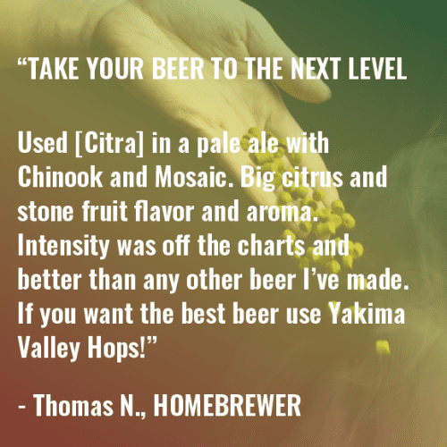 Citra Homebrewer Review