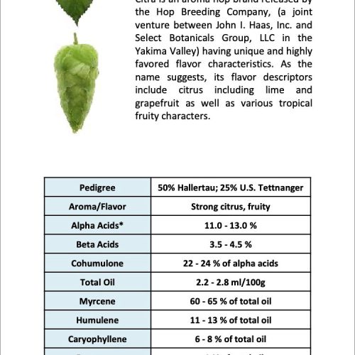 Citra Hop Info Sheet