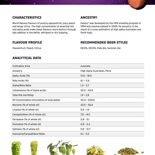 GalaxyDataSheet2022