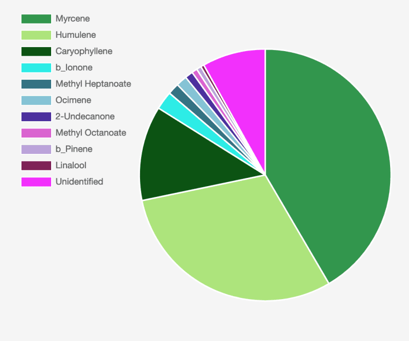 ID 158 2022 Analysis