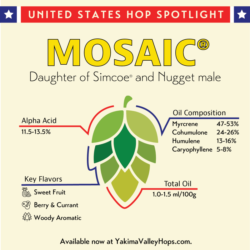 MosaicSpotlight 25