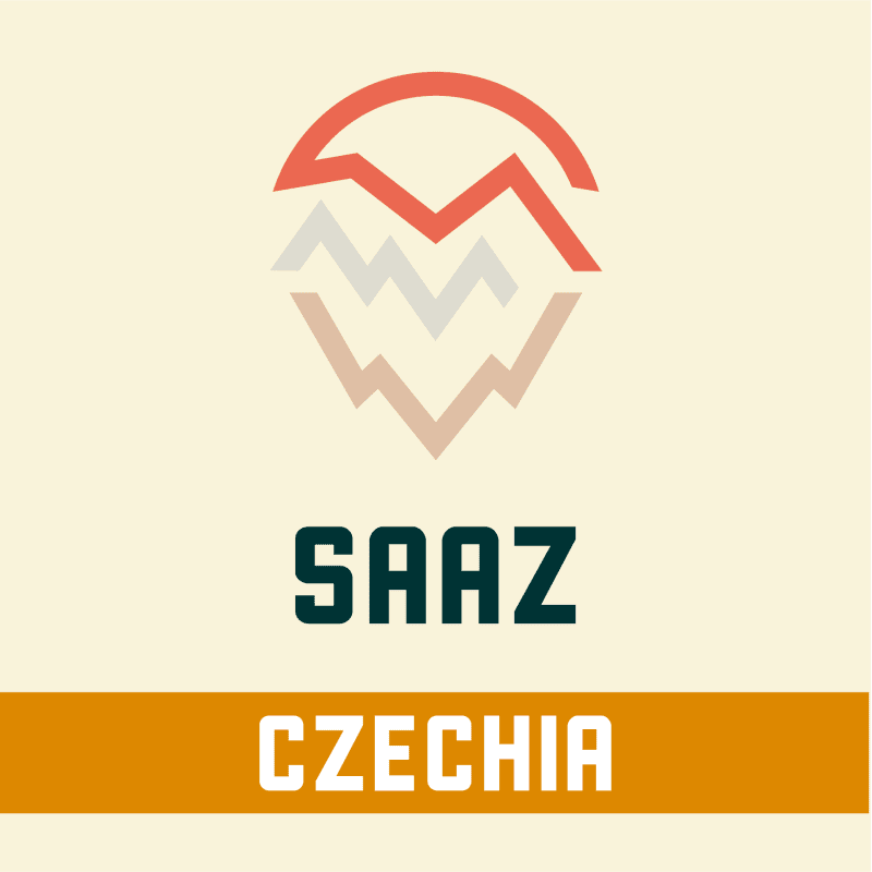 Saaz