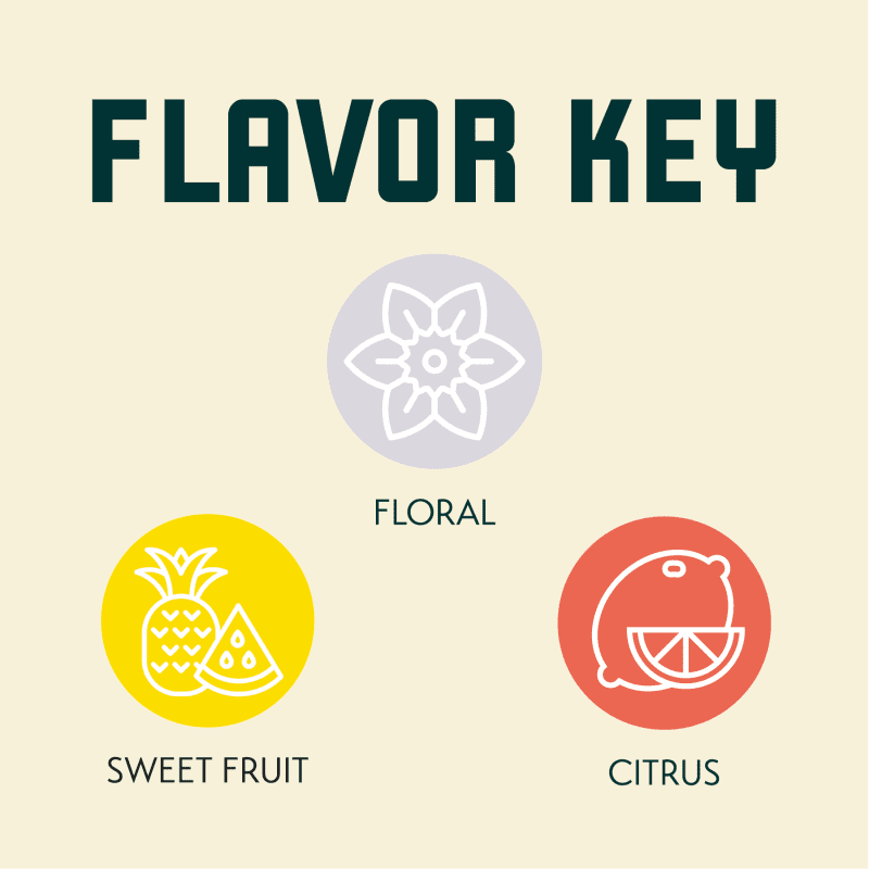 USDA008Flavors