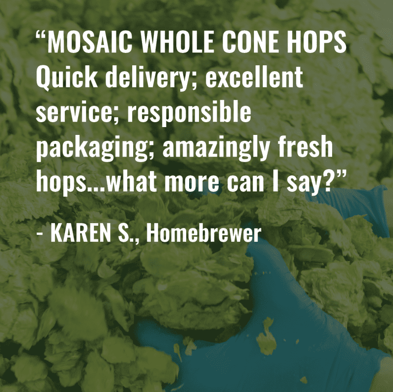 Whole Cone Hops Review