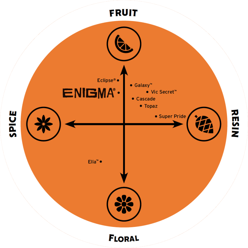 flavour spectrum 2022 enigma