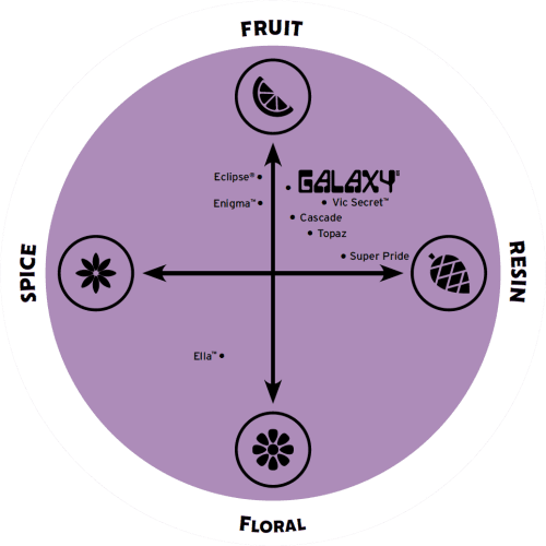 flavour spectrum 2022 galaxy