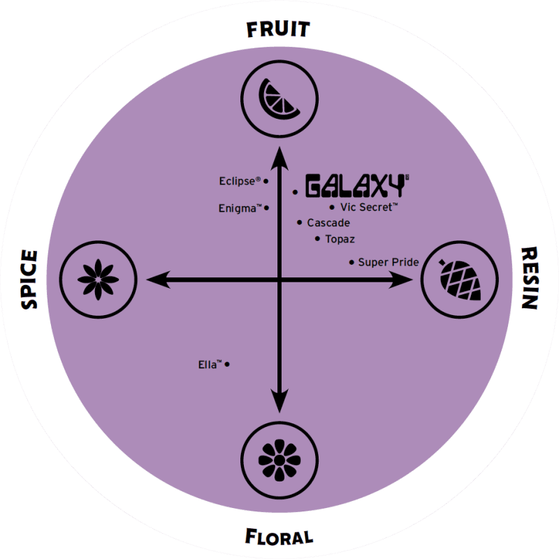 flavour spectrum 2022