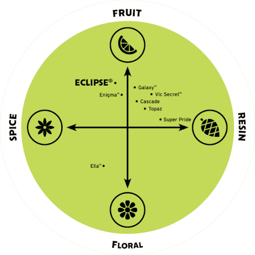 hops flavour spectrum eclipse 1